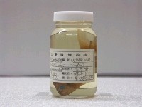 藏品(喬丹氏細鱗雀)的圖片